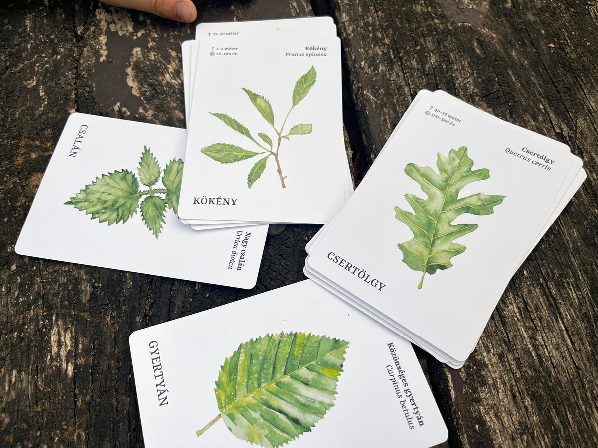 Levelek kártyacsomag