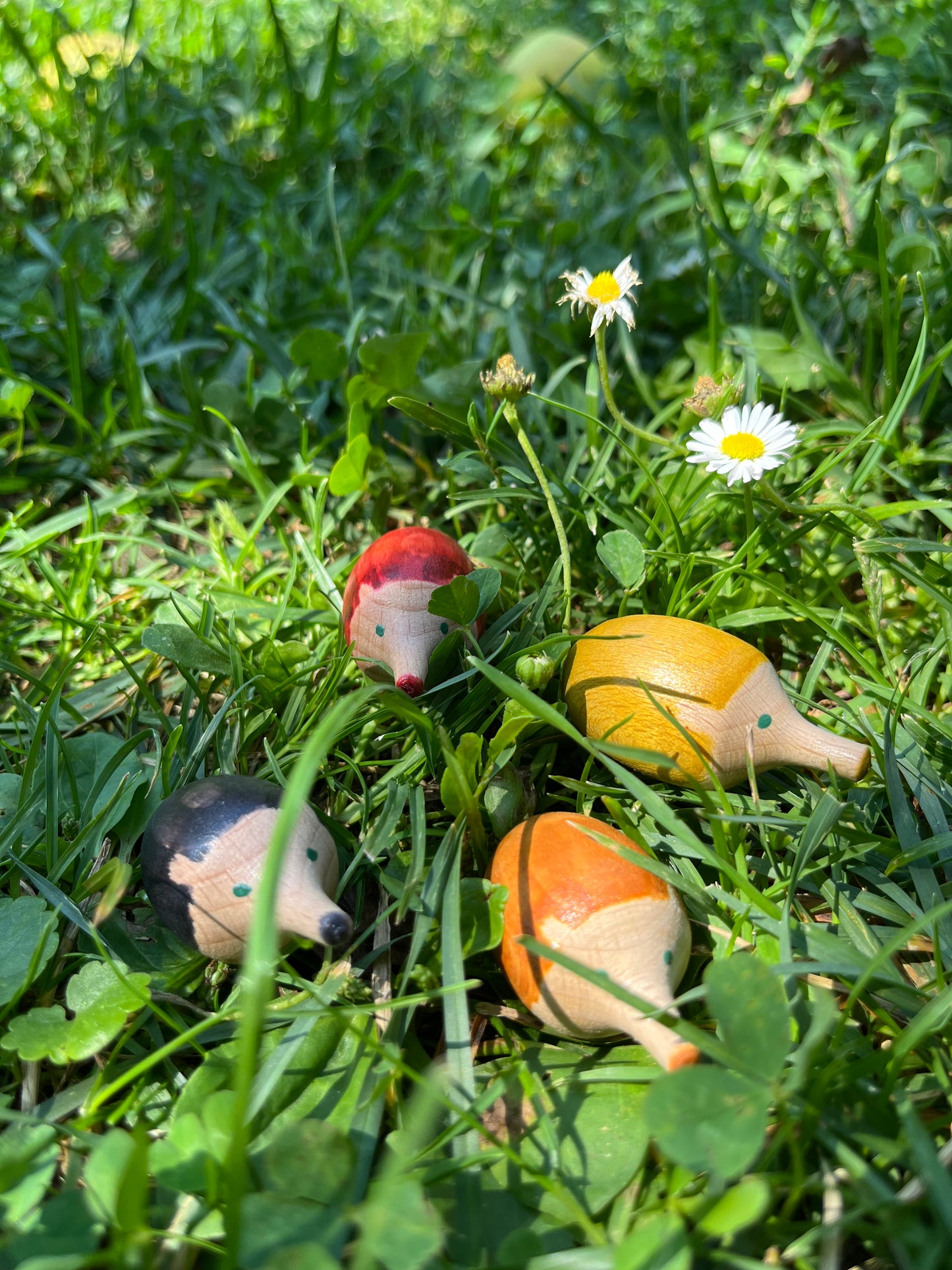 Avarnesz társasjáték